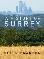 Book Cover for A History of Surrey by Peter Brandon