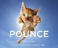 Book Cover for Pounce by Seth Casteel