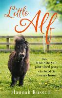 Book Cover for Little Alf by Hannah Russell