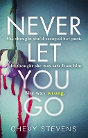 Book Cover for Never Let You Go by Chevy Stevens