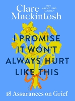 Book Cover for I Promise It Won't Always Hurt Like This by Clare Mackintosh