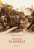 Book Cover for Llanelli by Brian Davies