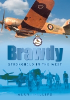 Book Cover for Brawdy by Alan Phillips