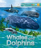 Book Cover for Explorers: Whales and Dolphins by Anita Ganeri