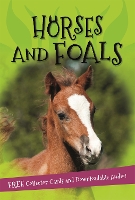 Book Cover for It's all about... Horses and Foals by Kingfisher