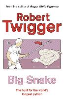 Book Cover for Big Snake by Robert Twigger