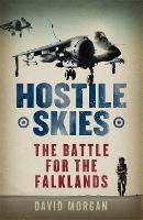 Book Cover for Hostile Skies by David Morgan