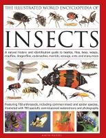 Book Cover for The Illustrated World Encyclopaedia of Insects A Natural History and Identification Guide to Beetles, Flies, Bees Wasps, Springtails, Mayflies, Stoneflies, Dragonflies, Damselflies, Cockroaches, Manti by Martin Walters