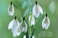 Book Cover for Card Box of 20 Notecards and Envelopes: Snowdrop by Peony Press