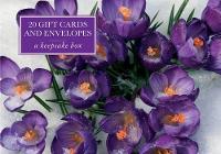 Book Cover for Tin Box of 20 Gift Cards and Envelopes: Crocus by Peony Press