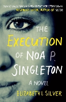 Book Cover for The Execution of Noa P. Singleton by Elizabeth L Silver