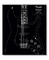 Book Cover for Fender Stratocaster 70 Years by Dave Hunter, Nile Rodgers