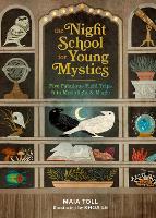 Book Cover for The Night School for Young Mystics by Maia Toll