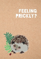 Book Cover for Feeling Prickly Journal by Matt Garczynski