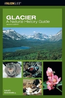 Book Cover for Glacier: A Natural History Guide by David Rockwell