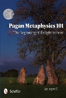 Book Cover for Pagan Metaphysics 101 by Springwolf