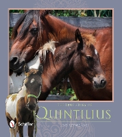 Book Cover for The True Story of Quintilius by Lois Szymanski