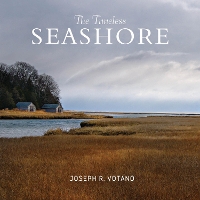 Book Cover for The Timeless Seashore by Joe Votano