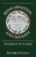 Book Cover for Reincarnation and Judaism by DovBer Pinson