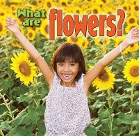 Book Cover for What are Flowers by Kelley MacAulay