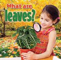 Book Cover for What Are Leaves? by Kelley MacAulay