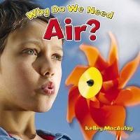 Book Cover for Why Do We Need Air? by Kelley MacAulay