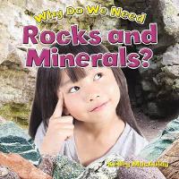 Book Cover for Why Do We Need Rocks and Minerals? by Kelley MacAulay
