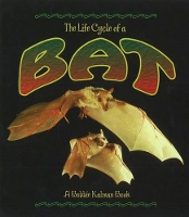 Book Cover for The Life Cycle of the Bat by Rebecca Sjonger