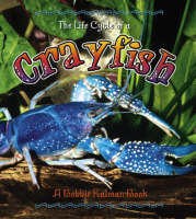 Book Cover for Life Cycle of a Crayfish by Bobbie Kalman, Rebecca Sjonger