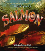 Book Cover for Life Cycle of a Salmon by Bobbie Kalman, Rebecca Sjonger