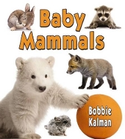 Book Cover for Baby Mammals by Bobbie Kalman