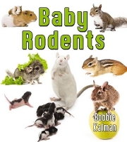 Book Cover for Baby Rodents by Bobbie Kalman