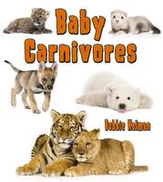 Book Cover for Baby Carnivores by Bobbie Kalman