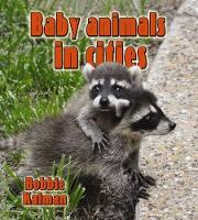 Book Cover for Baby Animals in Cities by Bobbie Kalman