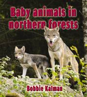 Book Cover for Baby Animals in Northern Forests by Bobbie Kalman