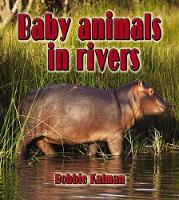 Book Cover for Baby Animals in Rivers by Bobbie Kalman