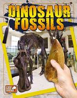 Book Cover for Dinosaur Fossils by 