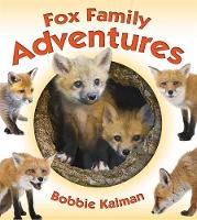 Book Cover for Fox Family Adventures by Bobbie Kalman