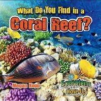 Book Cover for What Do You Find in a Coral Reef? by Megan Kopp