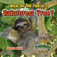 Book Cover for What Do You Find in a Rainforest Tree? by Megan Kopp