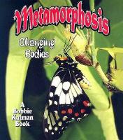 Book Cover for Metamorphosis by Bobbie Kalman