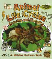 Book Cover for Animal Life Cycles by Bobbie Kalman