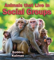 Book Cover for Animals that Live in Social Groups by Bobbie Kalman