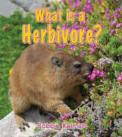 Book Cover for What Is a Herbivore? by Bobbie Kalman