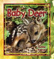 Book Cover for Baby Deer by Bobbie Kalman