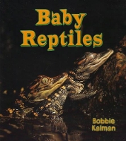 Book Cover for Baby Reptiles by Bobbie Kalman