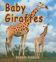 Book Cover for Baby Giraffes by Bobbie Kalman