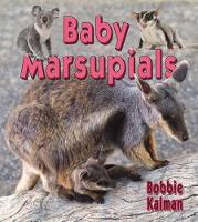 Book Cover for Baby Marsupials by Bobbie Kalman