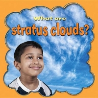 Book Cover for What Are Stratus Clouds? by Lynn Peppas