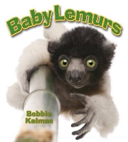 Book Cover for Baby Lemurs by Bobbie Kalman